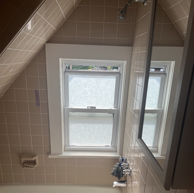 Bathroom windows